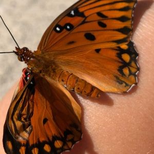 Meet your Posher, Madi